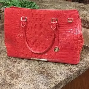 Red Brahmin Finley Caryall